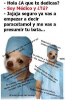 /album/doctores-memes/memes-mas-estupidos-de-los-doctores-y-su-bata-14-min-jpg/